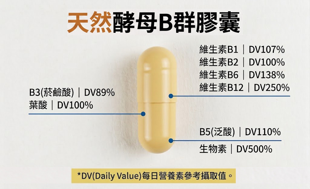 買1送1-綜合B群 Lalmin® 天然酵母 複方膠囊  (60粒/盒) 商品介紹