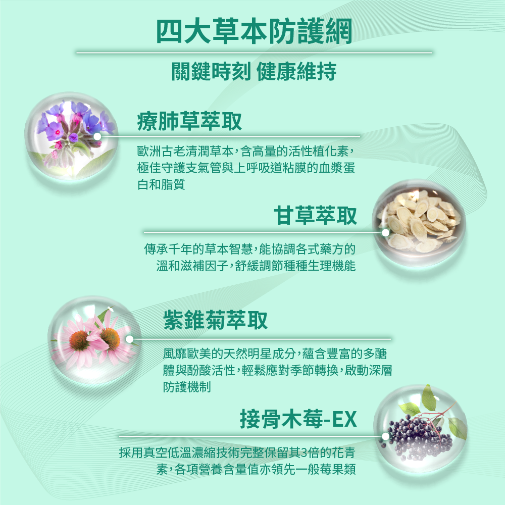 買2送1 費禦清療肺草複方口含錠(30錠/盒)